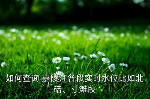 如何查詢 嘉陵江各段實時水位比如北碚、寸灘段