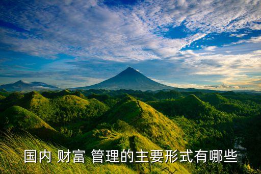 國內 財富 管理的主要形式有哪些