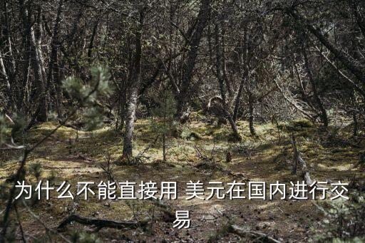 為什么不能直接用 美元在國內(nèi)進行交易