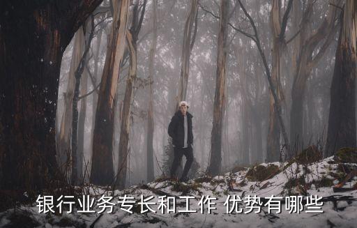  銀行業(yè)務(wù)專長和工作 優(yōu)勢(shì)有哪些