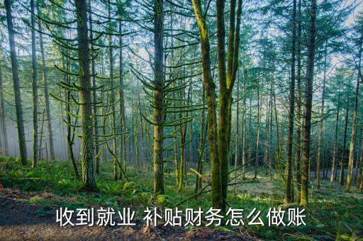 收到就業(yè) 補(bǔ)貼財(cái)務(wù)怎么做賬
