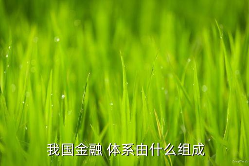 我國(guó)銀行體系