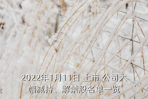 2022年1月11日 上市 公司大幅減持、解禁股名單一覽