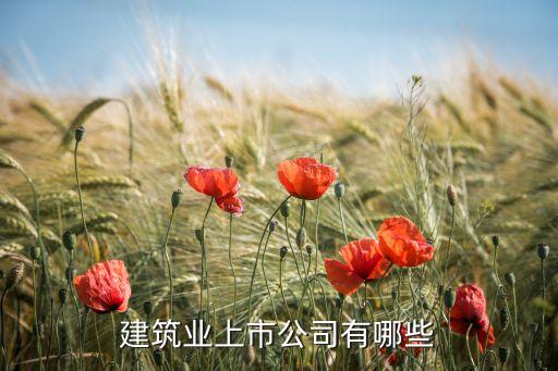 中國鐵建財(cái)報(bào)