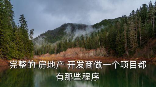 完整的 房地產(chǎn) 開(kāi)發(fā)商做一個(gè)項(xiàng)目都有那些程序