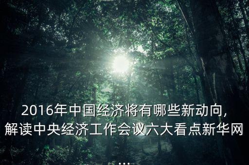 2016年中國經(jīng)濟(jì)將有哪些新動向,解讀中央經(jīng)濟(jì)工作會議六大看點(diǎn)新華網(wǎng)...