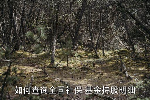 如何查詢(xún)?nèi)珖?guó)社保 基金持股明細(xì)