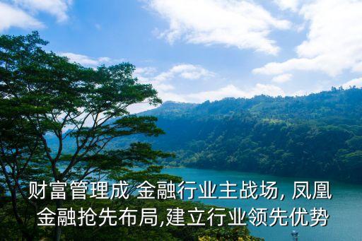 財(cái)富管理成 金融行業(yè)主戰(zhàn)場, 鳳凰 金融搶先布局,建立行業(yè)領(lǐng)先優(yōu)勢