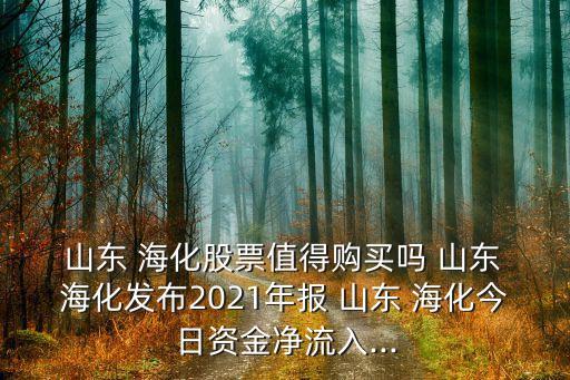  山東 ?；善敝档觅徺I嗎 山東 ?；l(fā)布2021年報 山東 海化今日資金凈流入...
