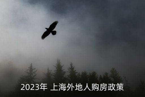 2023年 上海外地人購房政策