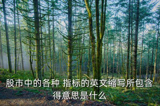 股市中的各種 指標(biāo)的英文縮寫(xiě)所包含得意思是什么