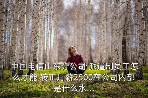  中國電信山東分公司 派遣制員工怎么才能 轉正月薪2500在公司內部是什么水...