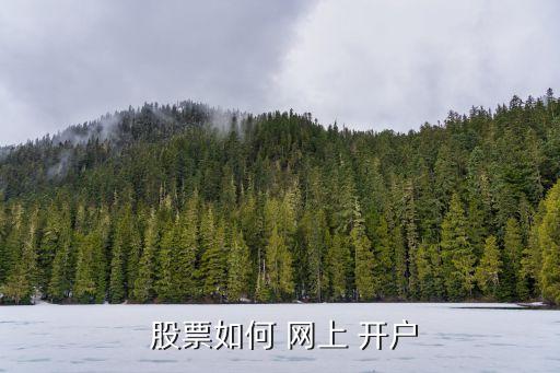  股票如何 網(wǎng)上 開(kāi)戶