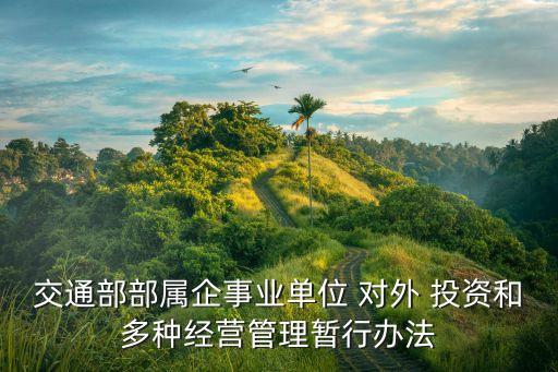 交通部部屬企事業(yè)單位 對(duì)外 投資和多種經(jīng)營管理暫行辦法