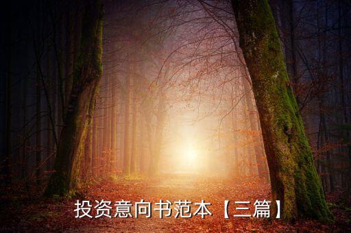 投資意向書(shū)范本【三篇】