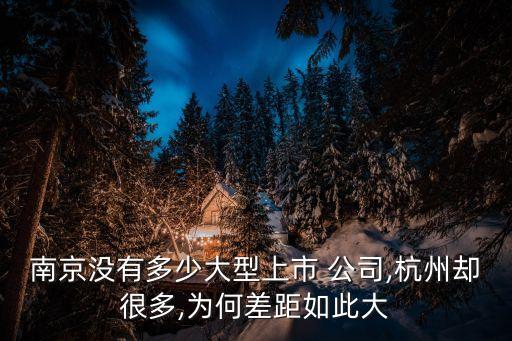 南京沒(méi)有多少大型上市 公司,杭州卻很多,為何差距如此大