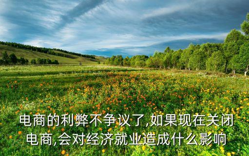  電商的利弊不爭議了,如果現(xiàn)在關(guān)閉 電商,會對經(jīng)濟就業(yè)造成什么影響