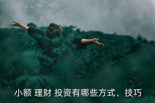  小額 理財(cái) 投資有哪些方式、技巧