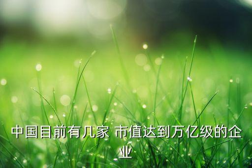 中國(guó)目前有幾家 市值達(dá)到萬億級(jí)的企業(yè)