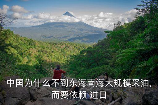 中國(guó)為什么不到東海南海大規(guī)模采油,而要依賴 進(jìn)口