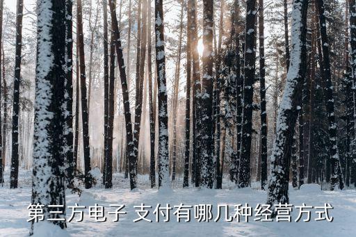 中國五大第三方支付平臺業(yè)務(wù)和利潤來源