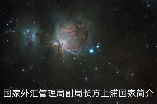 興業(yè)銀行副行長公示