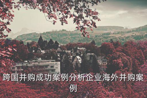 中國收購國外公司技術,收購國外機器人的公司