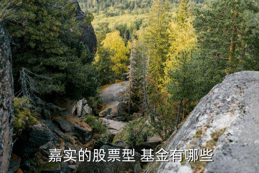 嘉實(shí)低碳環(huán)?；饍糁?嘉實(shí)環(huán)保低碳基金001616