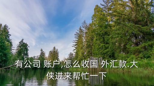 有公司 賬戶,怎么收國 外匯款.大俠進(jìn)來幫忙一下