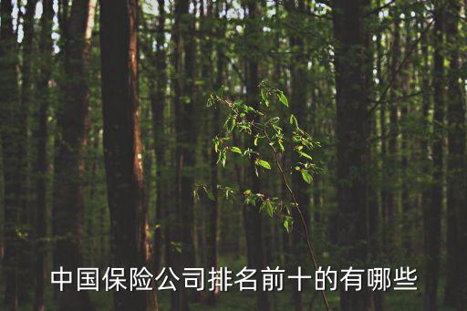 中國(guó)保險(xiǎn)公司排名前十的有哪些