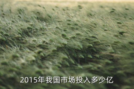2015年我國市場(chǎng)投入多少億