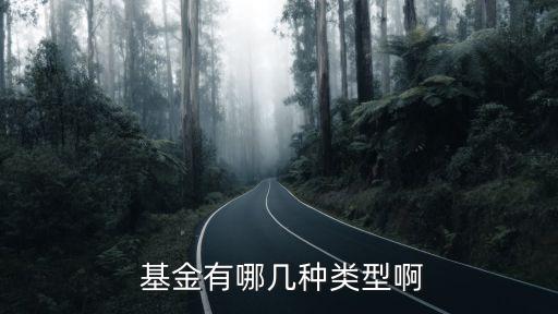  基金有哪幾種類型啊