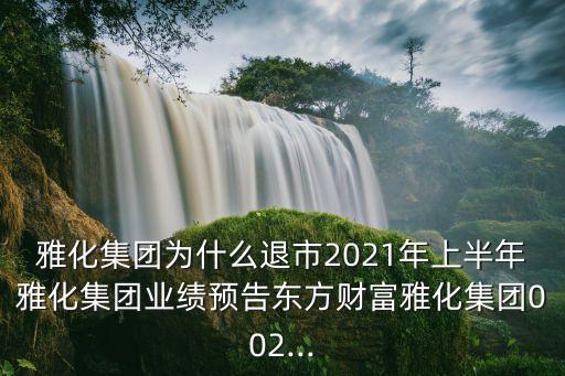 雅化集團為什么退市2021年上半年雅化集團業(yè)績預告東方財富雅化集團002...