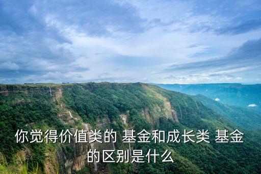 你覺得價值類的 基金和成長類 基金的區(qū)別是什么