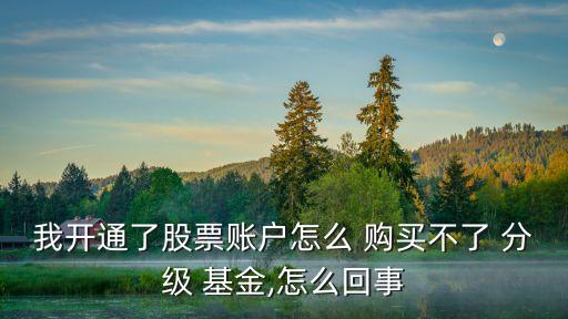 分級(jí)基金如何購(gòu)買(mǎi),已購(gòu)買(mǎi)的基金如何退出來(lái)