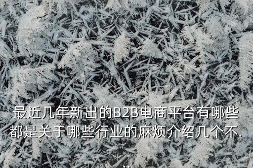 最近幾年新出的B2B電商平臺有哪些都是關于哪些行業(yè)的麻煩介紹幾個不...
