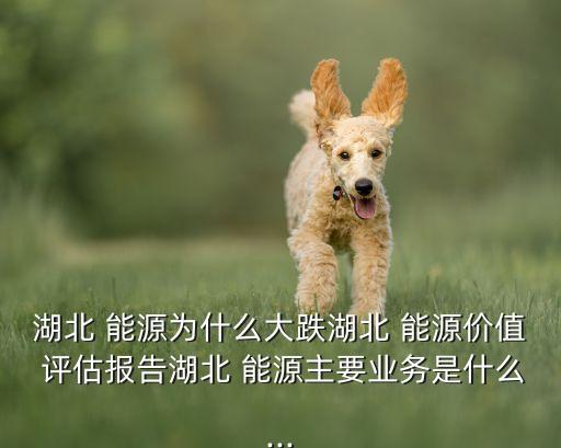 湖北 能源為什么大跌湖北 能源價(jià)值 評估報(bào)告湖北 能源主要業(yè)務(wù)是什么...