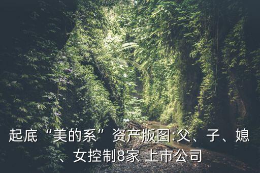 起底“美的系”資產(chǎn)版圖:父、子、媳、女控制8家 上市公司