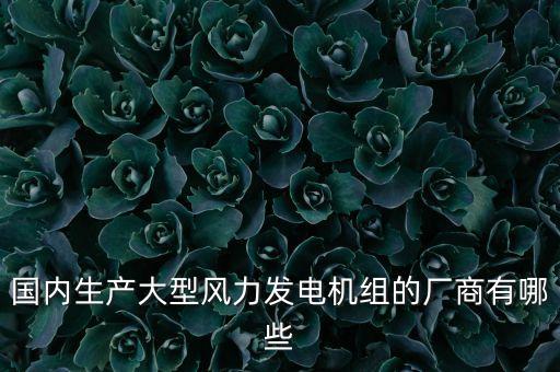 國內(nèi)生產(chǎn)大型風力發(fā)電機組的廠商有哪些