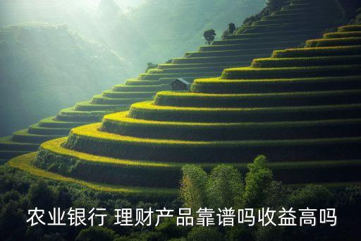  農(nóng)業(yè)銀行 理財(cái)產(chǎn)品靠譜嗎收益高嗎