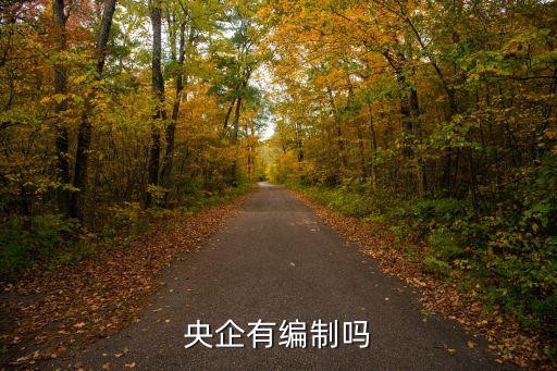中國電子科技集團(tuán)57所