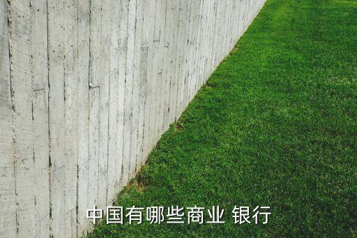 中國有哪些商業(yè) 銀行