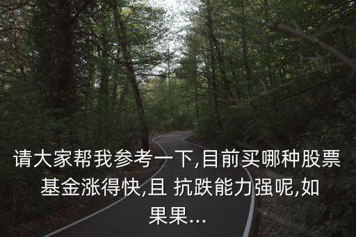 請大家?guī)臀覅⒖家幌?目前買哪種股票 基金漲得快,且 抗跌能力強(qiáng)呢,如果果...