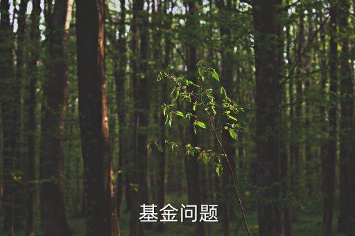  基金問(wèn)題