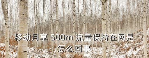 移動(dòng)月享 500m 流量保持在網(wǎng)是怎么回事