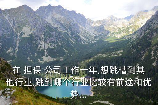 民營(yíng)擔(dān)保公司出路,中國(guó)民營(yíng)擔(dān)保公司排名