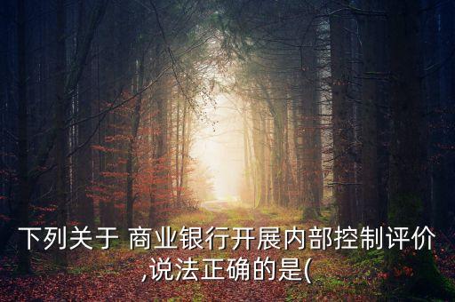 下列關于 商業(yè)銀行開展內(nèi)部控制評價,說法正確的是(