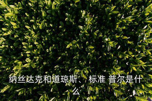 納絲達克和道瓊斯、 標準 普爾是什么