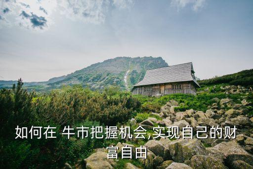 如何在 牛市把握機(jī)會,實(shí)現(xiàn)自己的財(cái)富自由