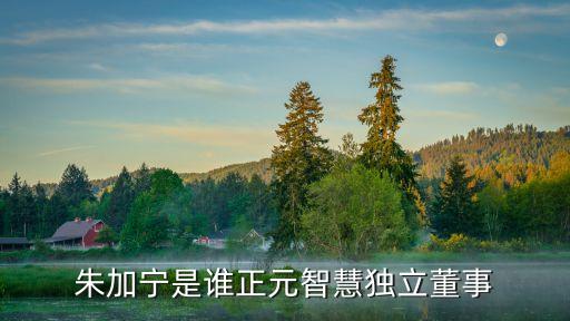 朱加寧是誰正元智慧獨立董事